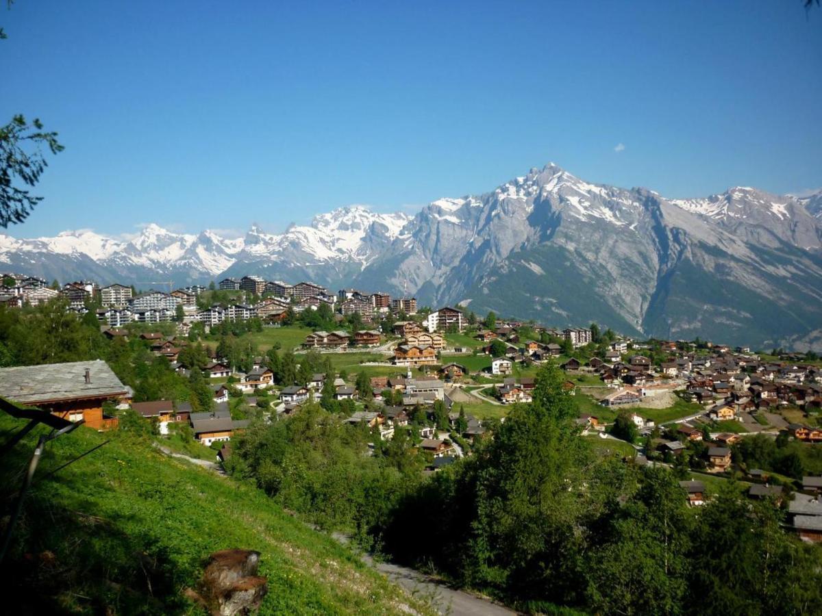 Pracondu Outdoor & Fun Appartement 1 Chambre Avec Balcon By Alpvision Residences Nendaz Exterior foto