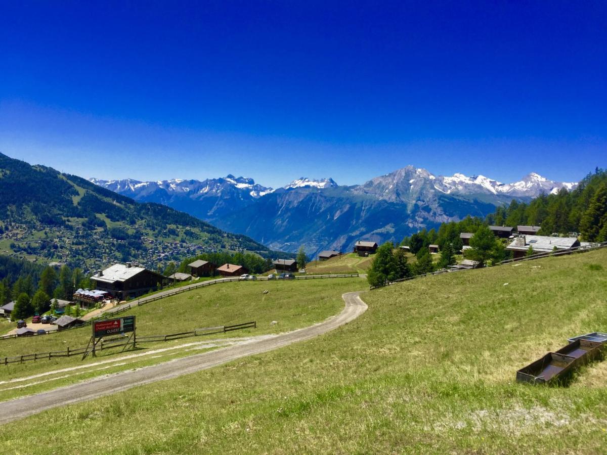 Pracondu Outdoor & Fun Appartement 1 Chambre Avec Balcon By Alpvision Residences Nendaz Exterior foto